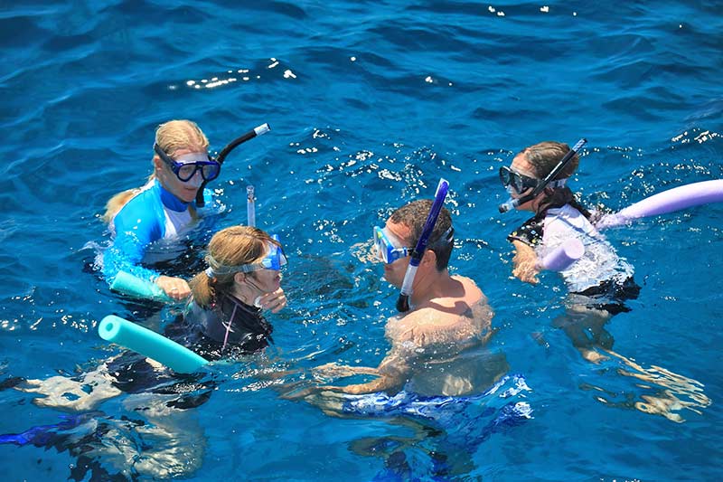 snorkelling with calypso