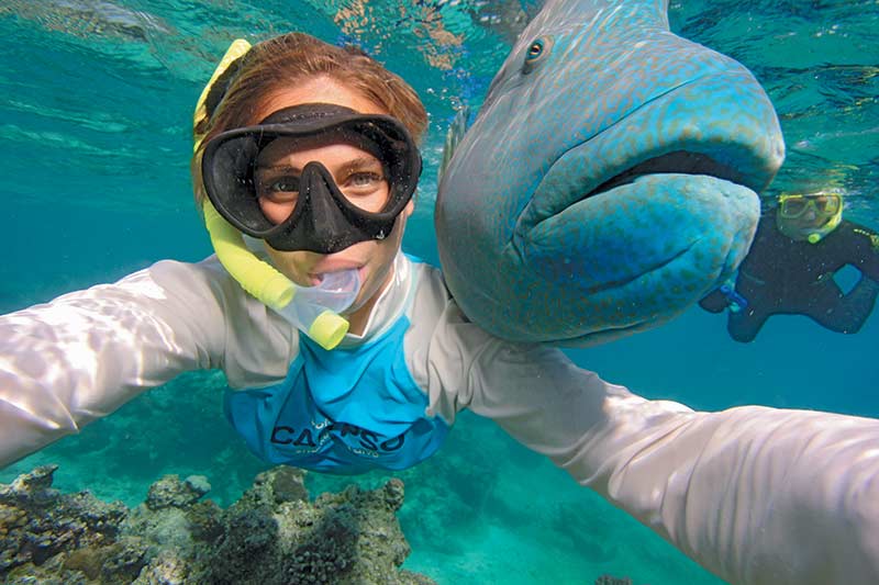 snorkelling with calypso